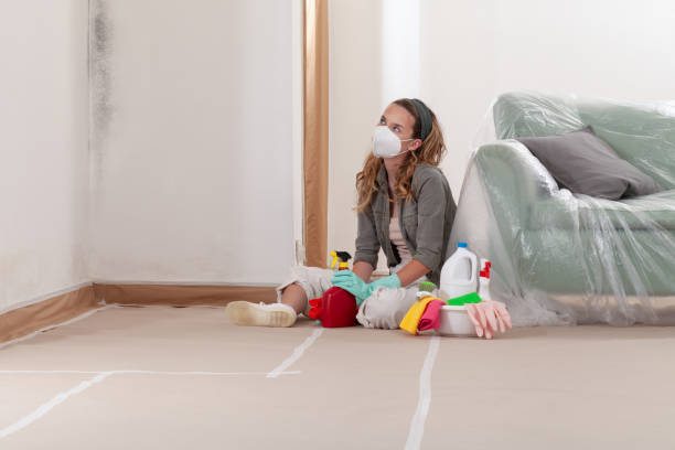 Reliable Black Mold Removal contractor in Edgewood, MD by WQB Mold Removal